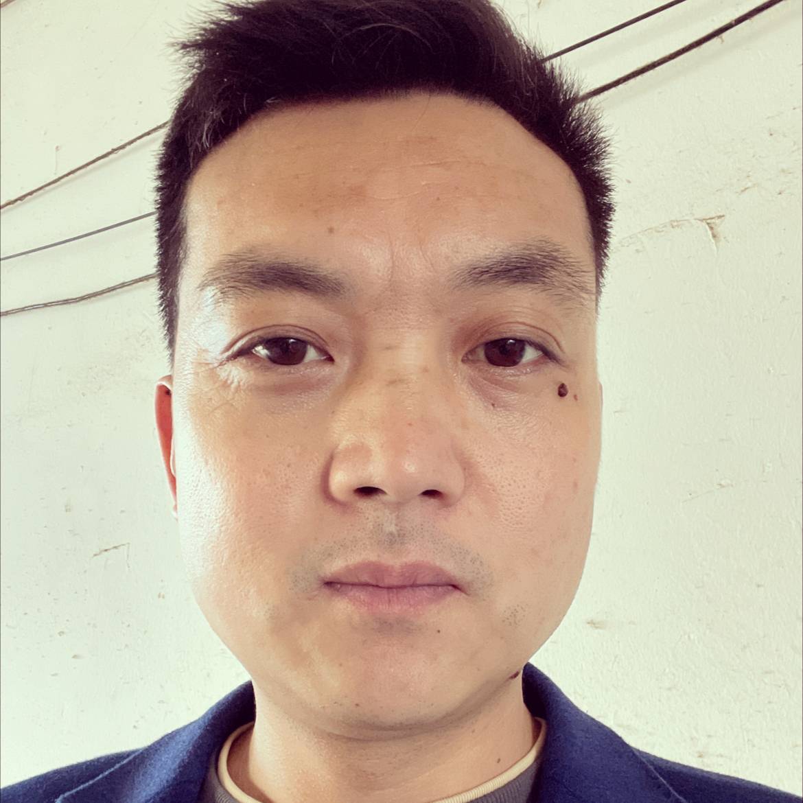 强健拾忆小猫咪的照片