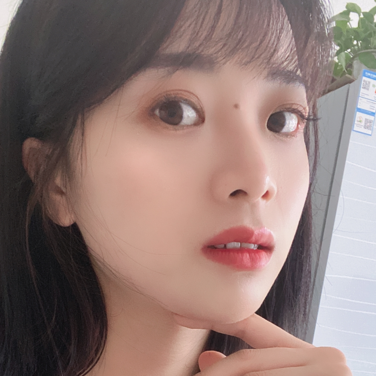 冷月漫步热心的照片