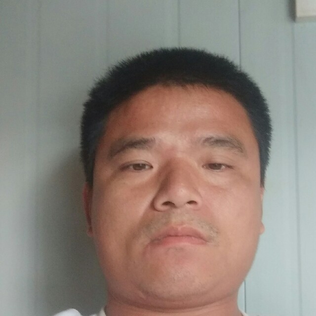 洋葱踏实的照片