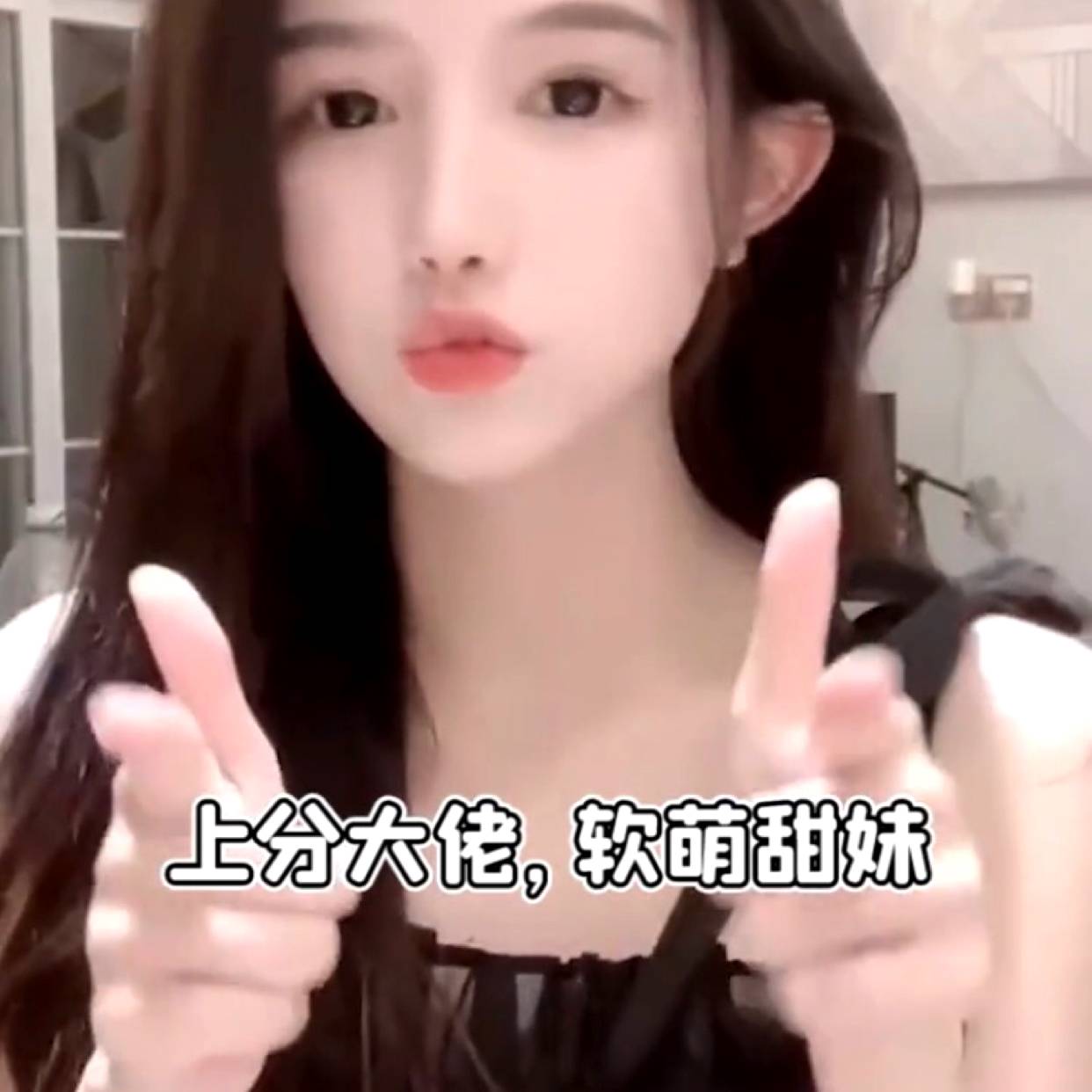 猫咪浅吻亲爱的的照片