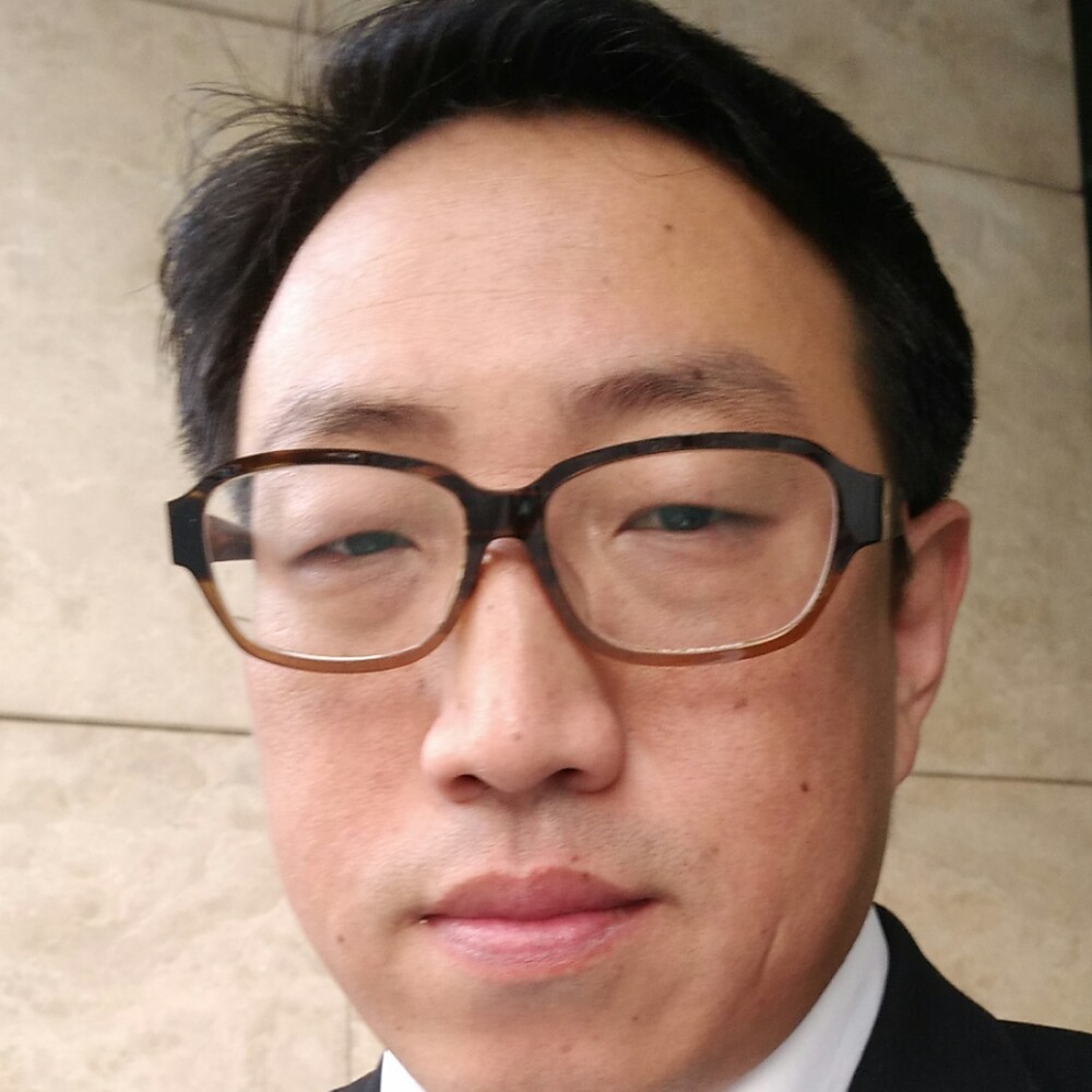 直率的向日葵的照片