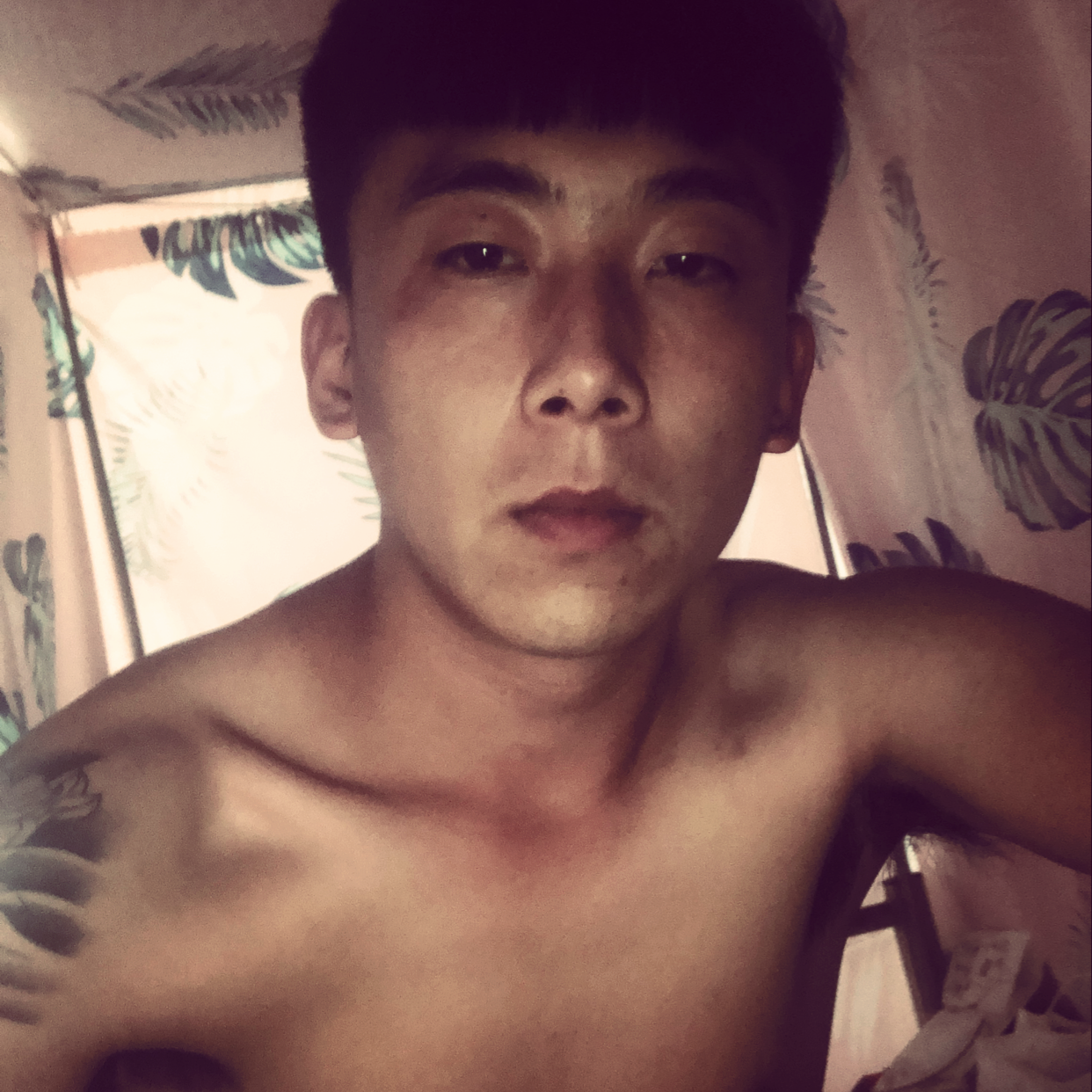 青花粗暴的照片