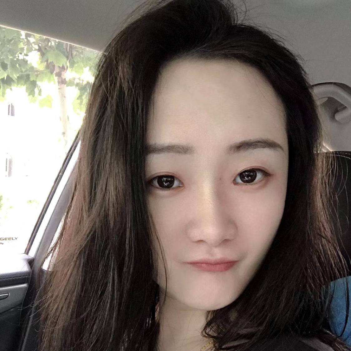 乳木果的照片
