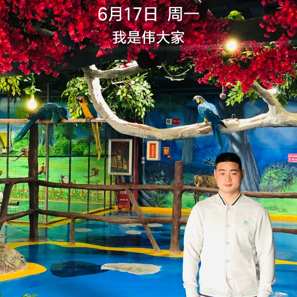 红牛和零碎的照片