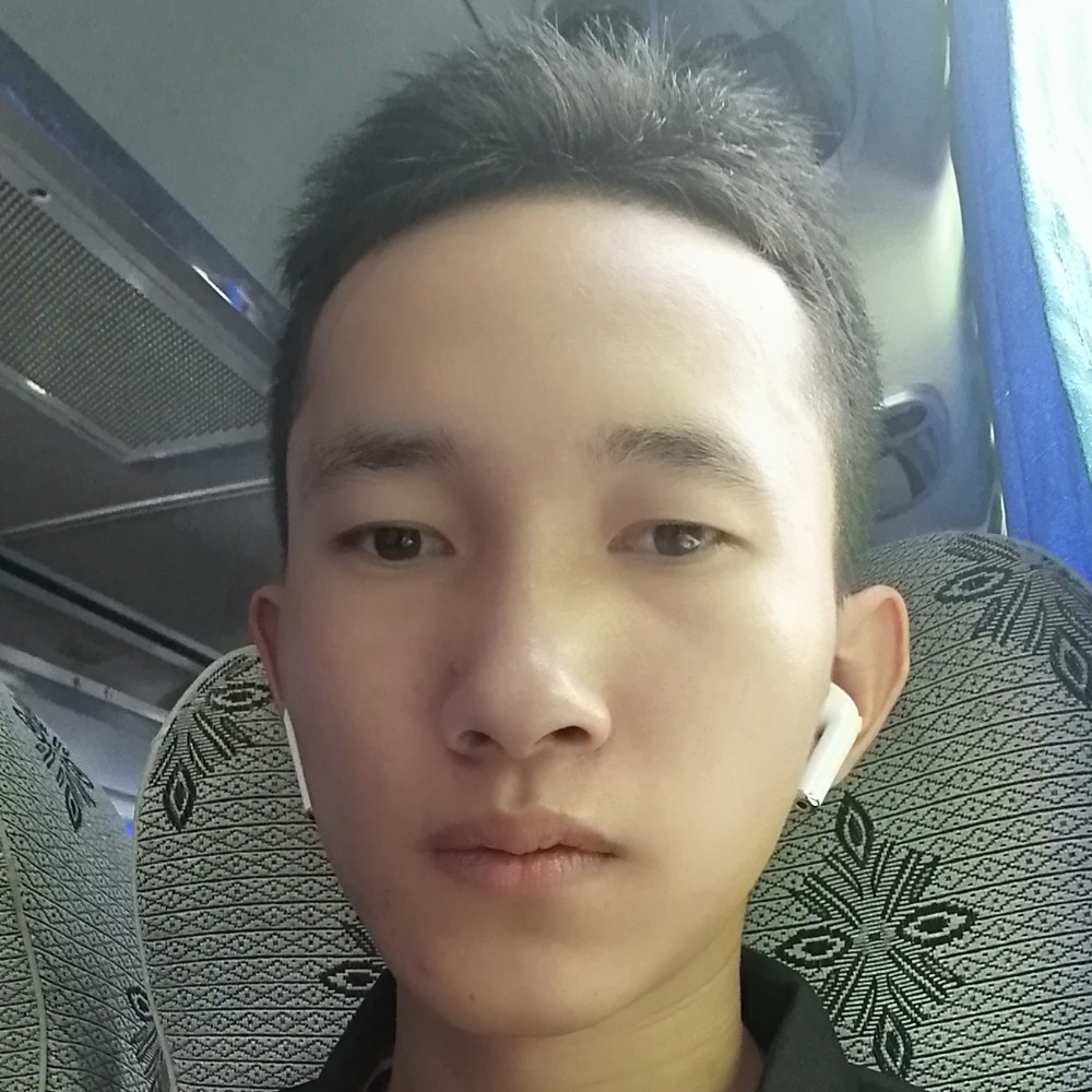 含羞草扯积极的照片
