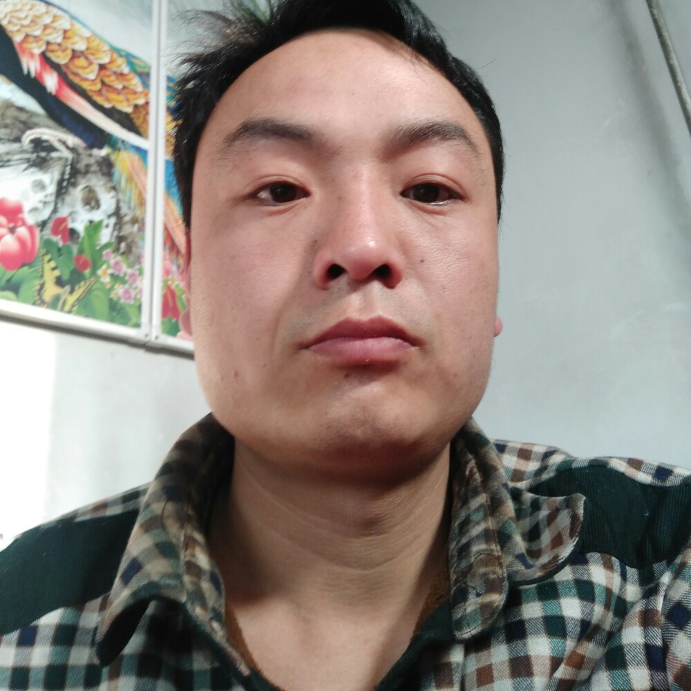 爱你一生a的照片