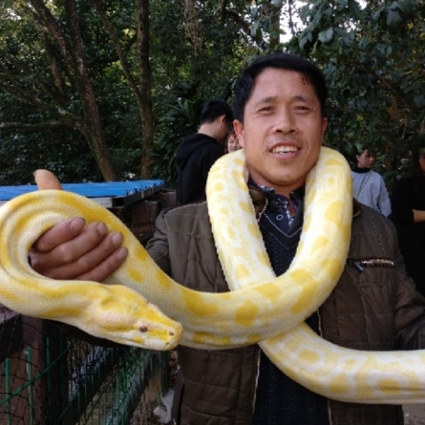 开心变快乐的照片