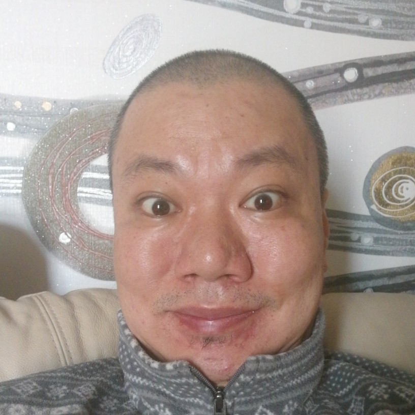 蚁动叶摇的照片