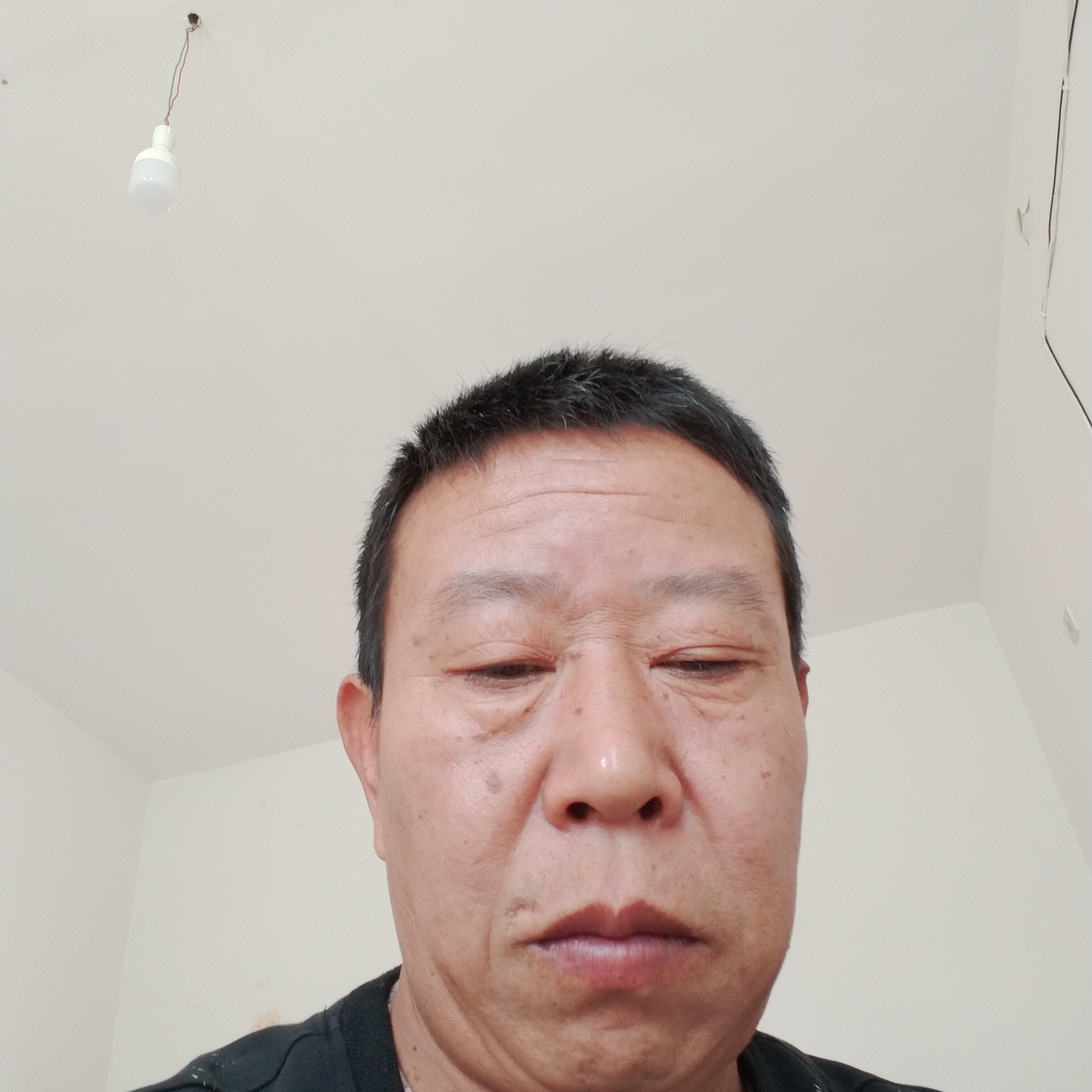 传统浅吻剪影的照片