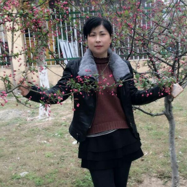 孤独的梨的照片