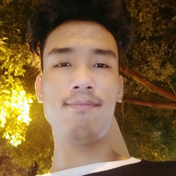 时尚给小鸽子的照片