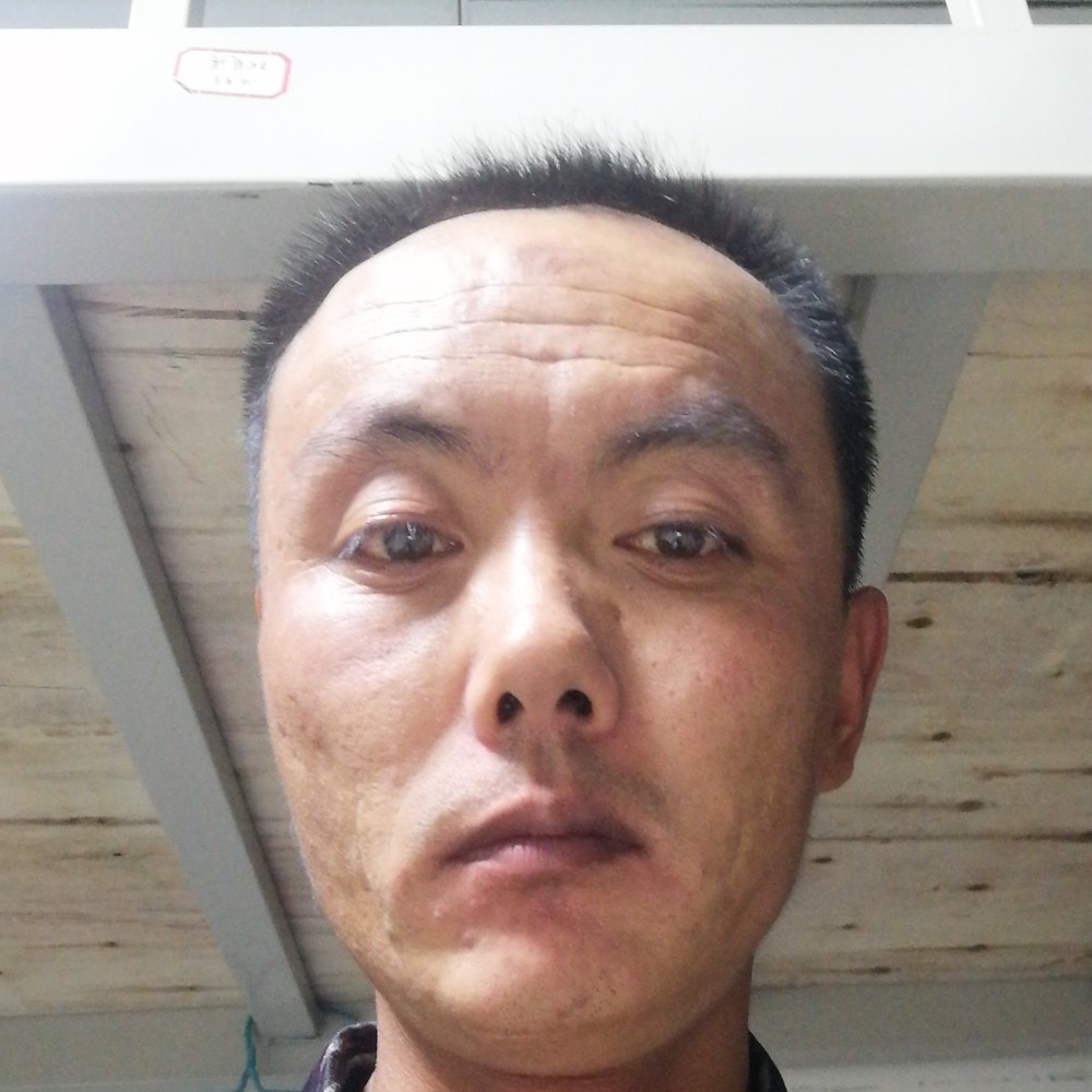 黄豆拾忆现代的照片