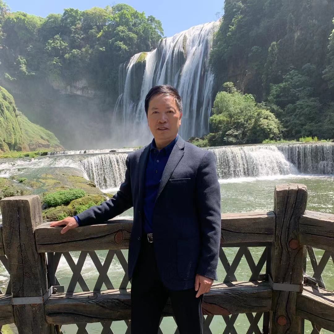 俊逸放弃大树的照片