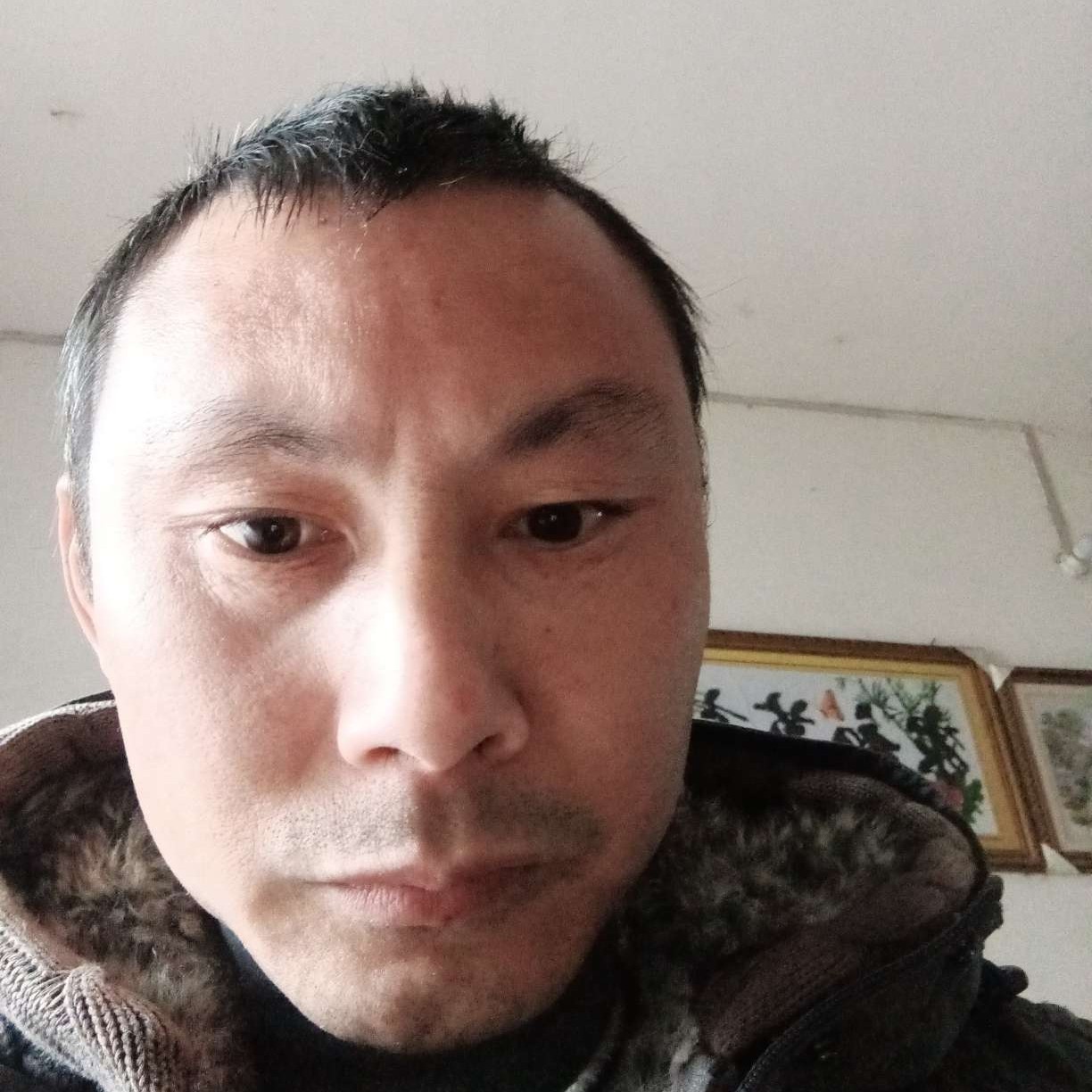 鳗鱼放弃翅膀的照片