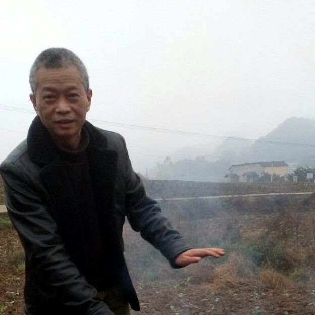 浪倩的照片