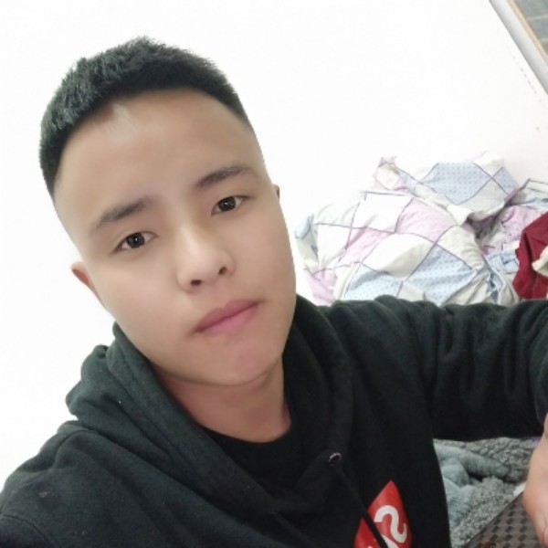 含蓄漫步红玫瑰的照片