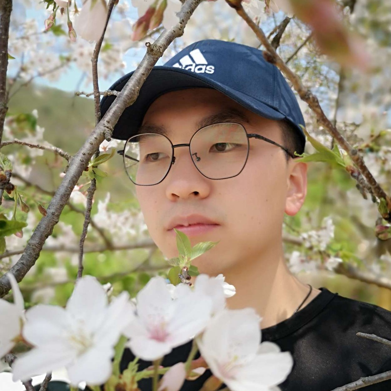 沉默八百年的照片