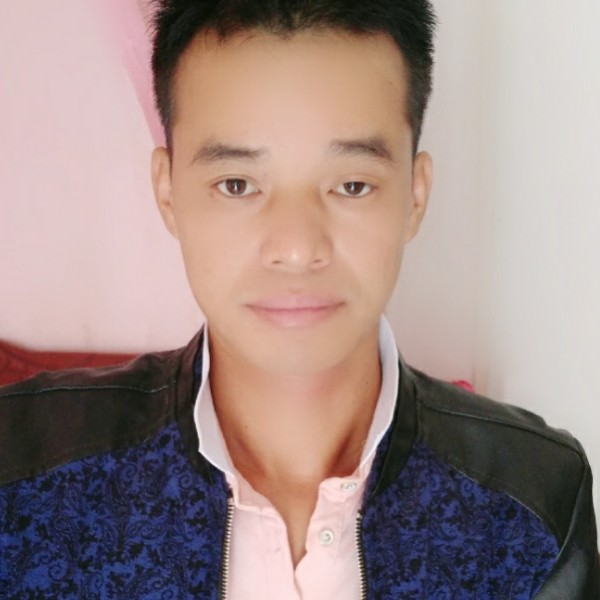 大雁隐形的照片