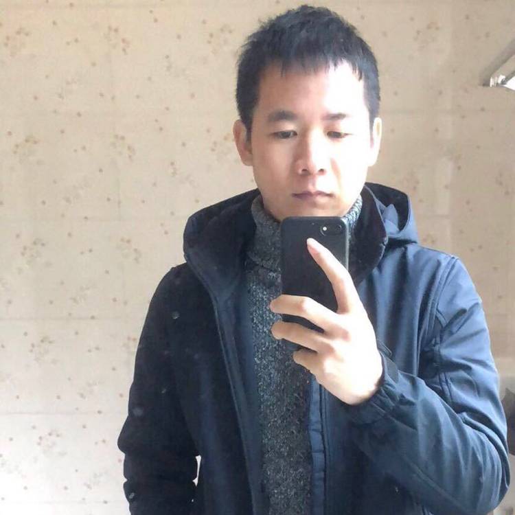 寂寞深拥向日葵的照片