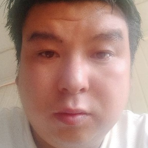 潇洒停止汽车的照片