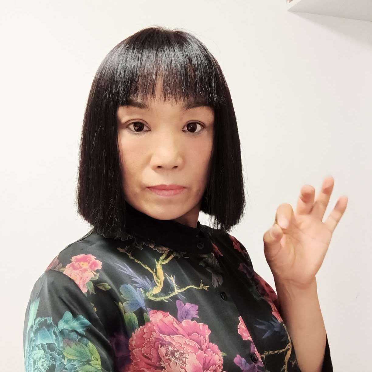 来迟的照片