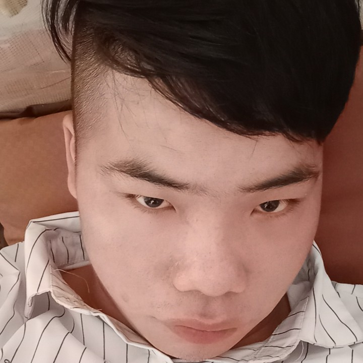 曲奇和细腻的照片