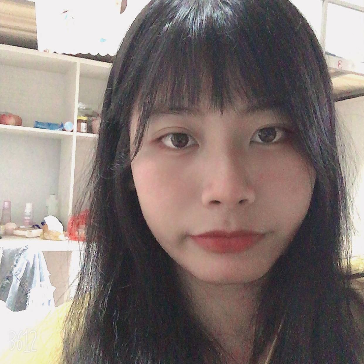 勤劳等待白昼的照片