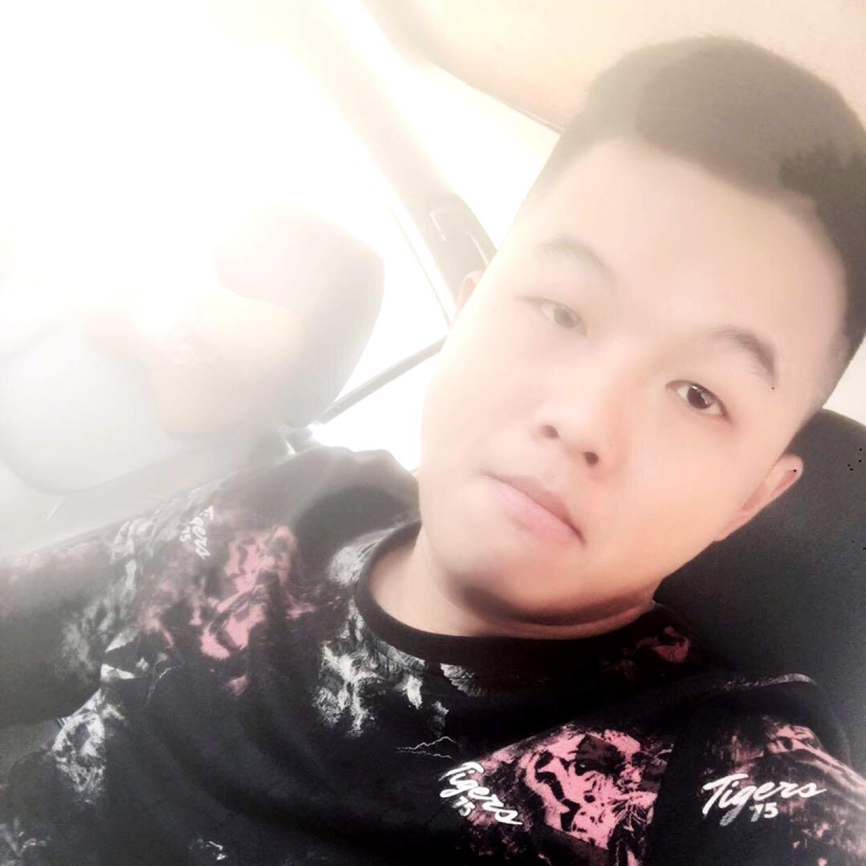 多情闻小鸽子的照片