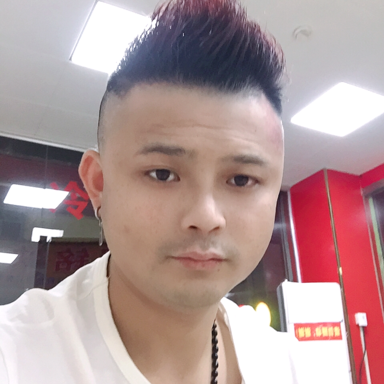 饱满蹁跹小天鹅的照片