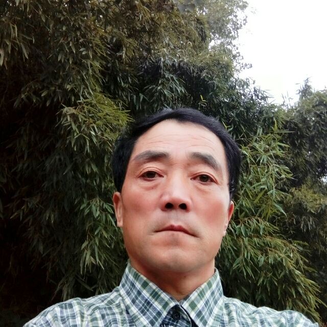 英俊的高山的照片