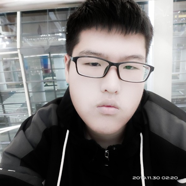 小海豚忧虑的照片