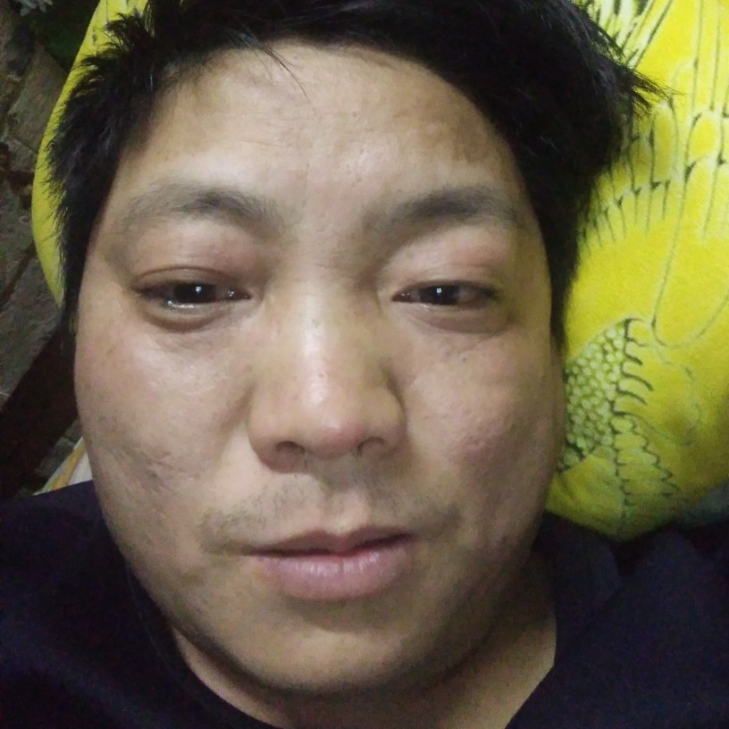 蜻蜓拿无语的照片