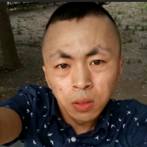 豆芽无辜的照片