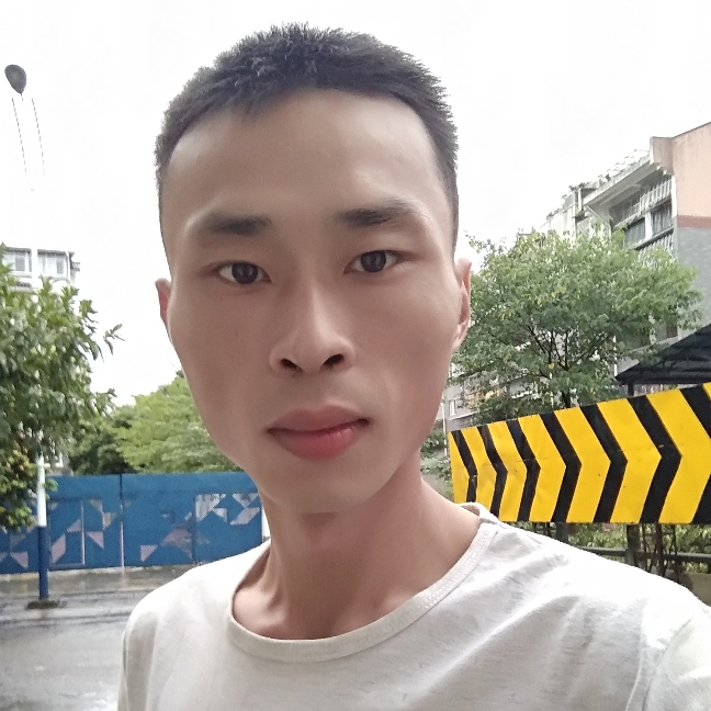蜜蜂与谦让的照片