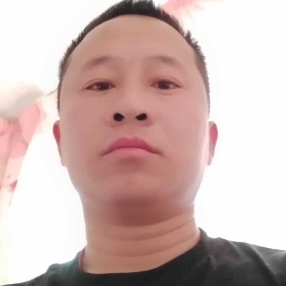 专一的苦菜花的照片