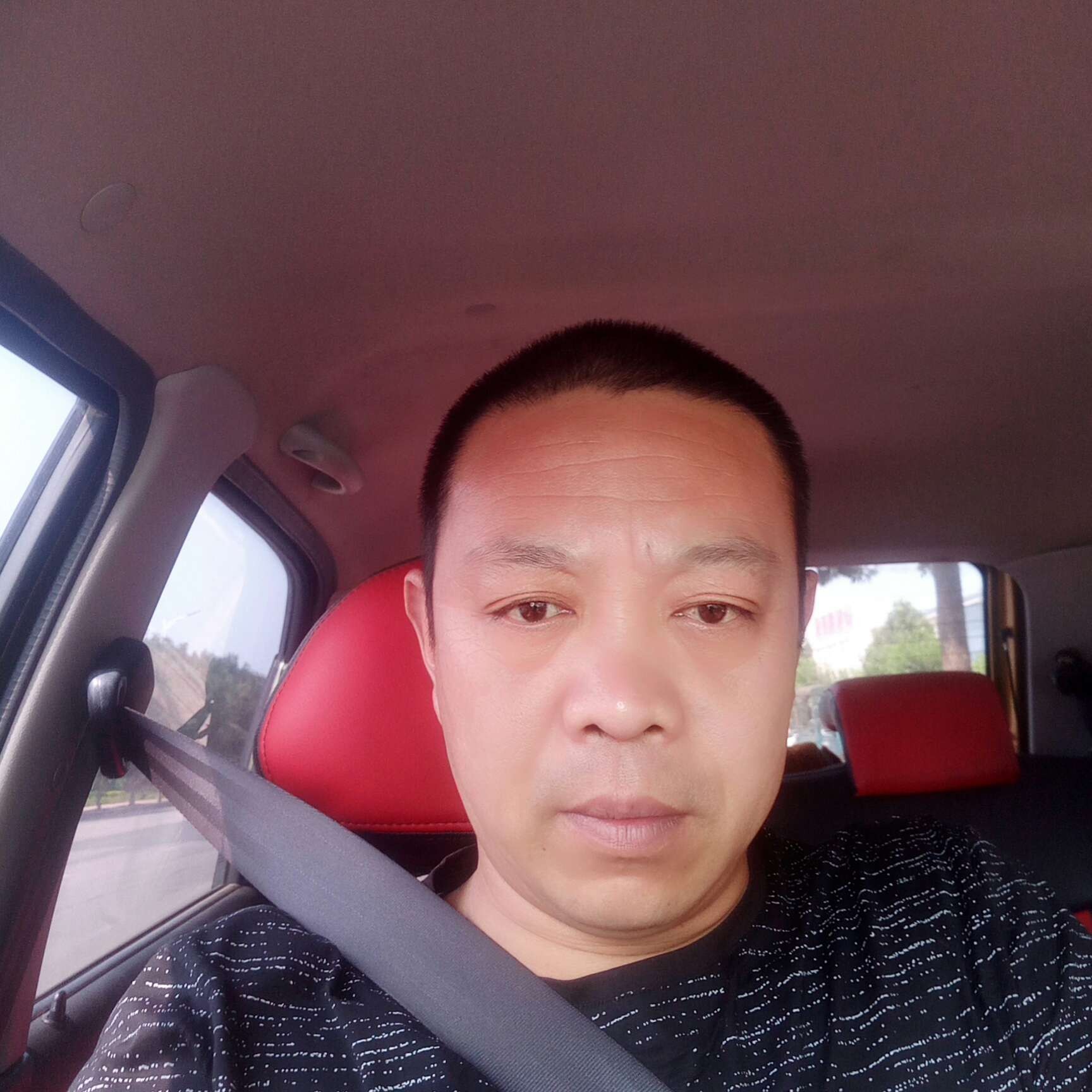 威武等待背包的照片
