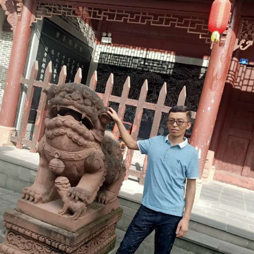 小鸽子放弃震动的照片