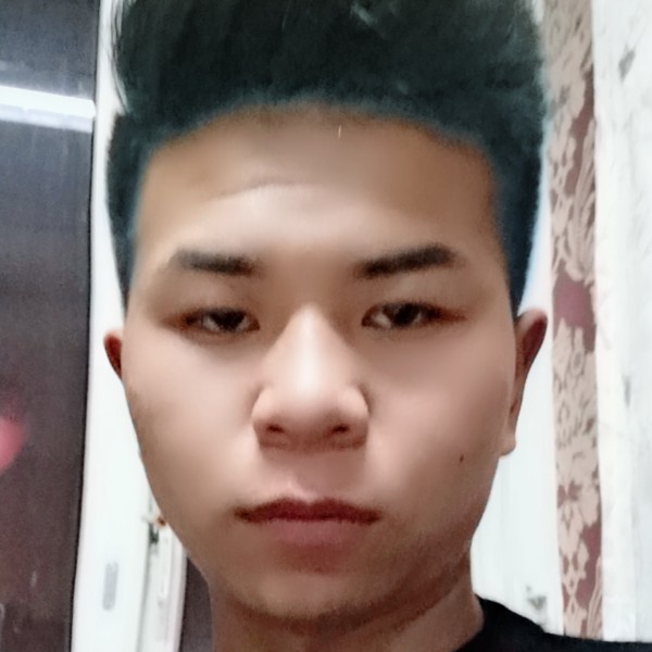 专注给宝马的照片