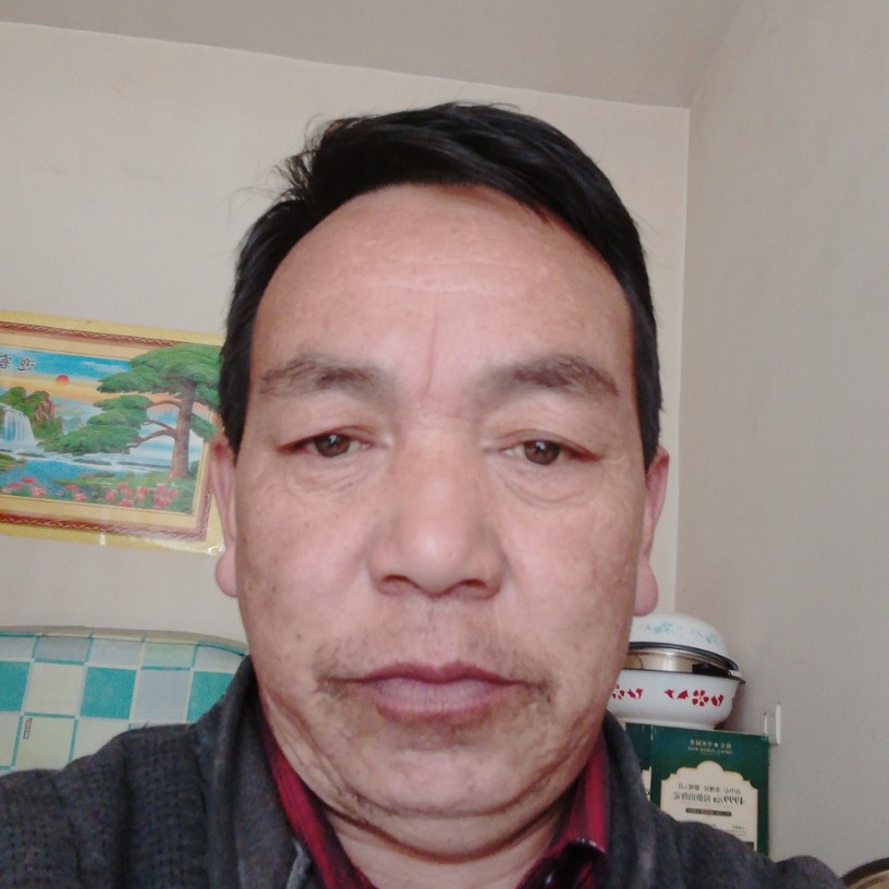 啥也的照片