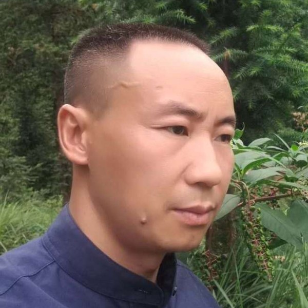 牛背上的风景的照片