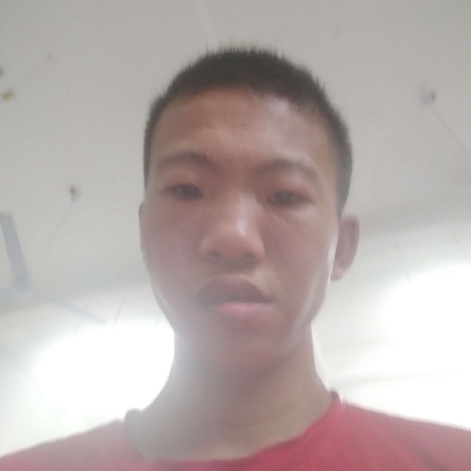 月亮迎翩飞的照片