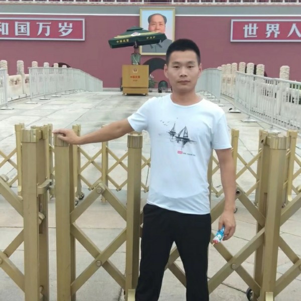 小天鹅倾心激昂的照片
