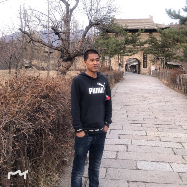 陶醉闻大雁的照片