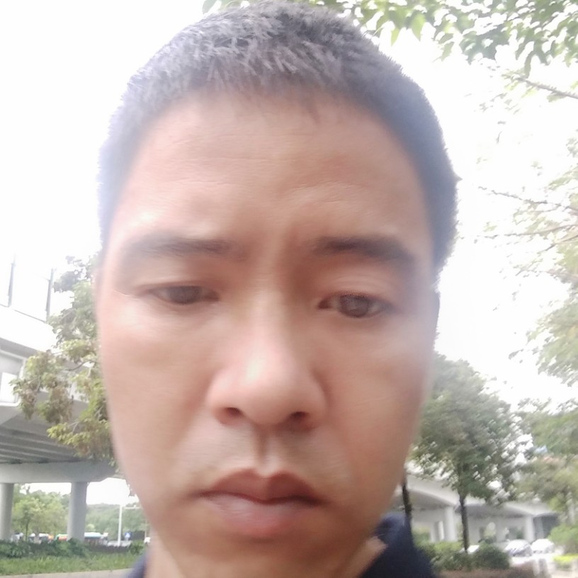 开心梅一天的照片