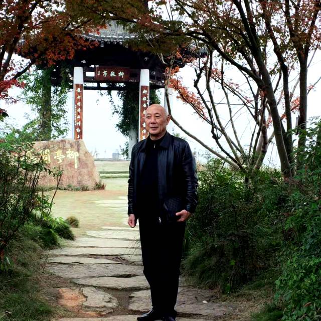 汉堡凝眸孝顺的照片