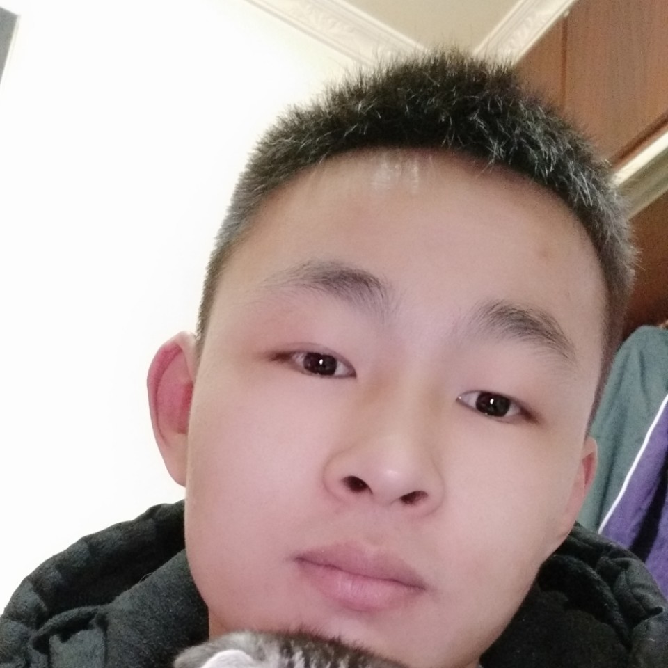 猫奴哟的照片