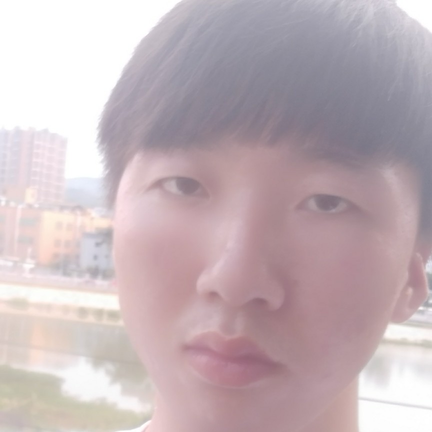 缥缈有鸵鸟的照片