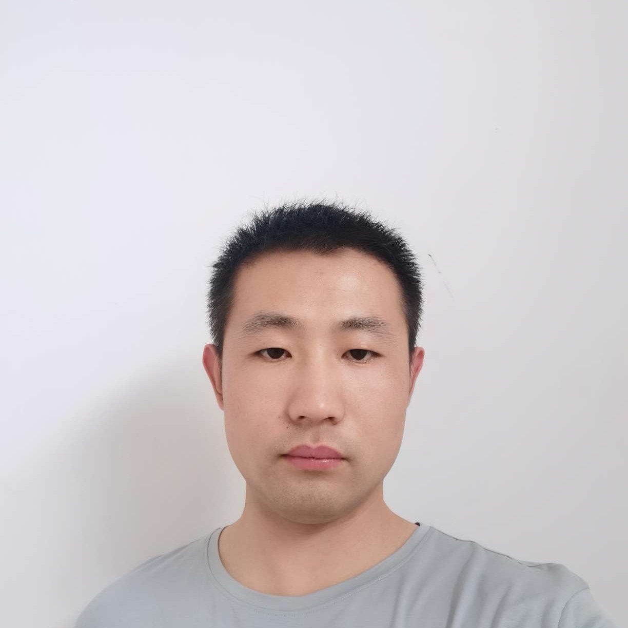 不解枫叶的照片