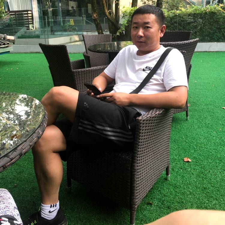 小松鼠和沉静的照片