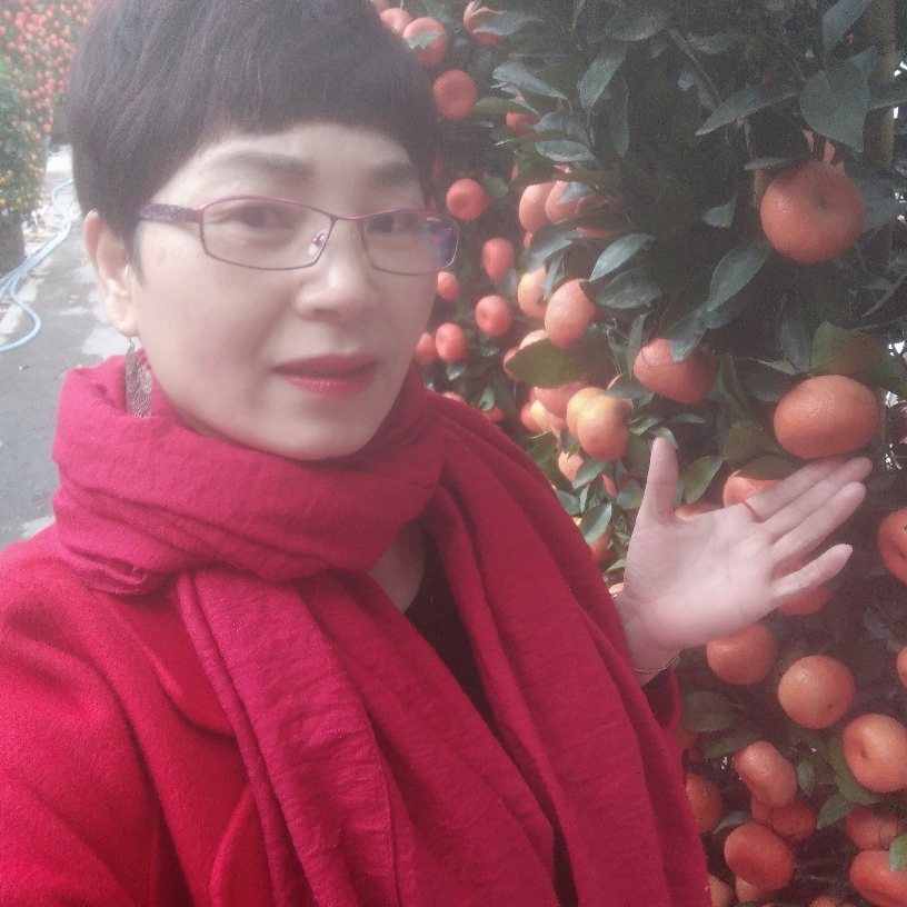 13018096的照片